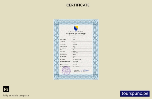 Plantilla PSD de certificado de nacimiento de Bosnia y Herzegovina lista para im